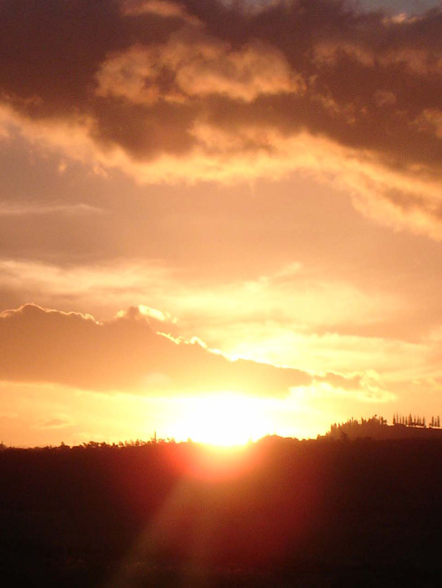 DSC00322