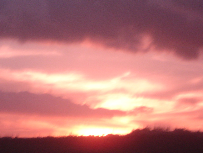 DSC00325