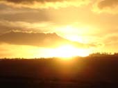 DSC00320